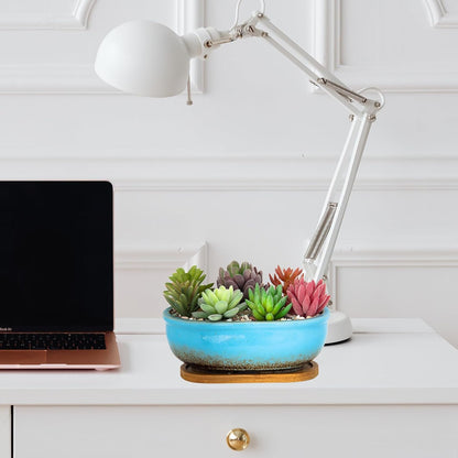 Succulent Pots, 7.9 Inch Long Rectangular Succulent Planters with Drainage Tray, Shallow Planters