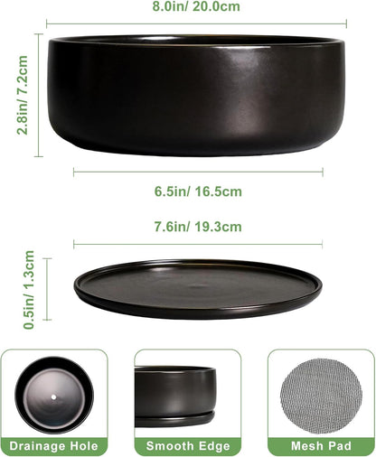 SQOWL Bonsai Pots - 8 Inch Ceramic Plant Pots for Succulents, Round Indoor Planter with Drainage