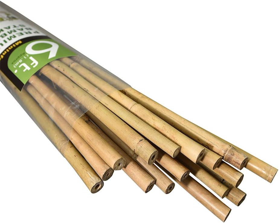 Mininfa Natural Bamboo Stakes 6 Feet, Eco-Friendly Garden Stakes, Plant Stakes Supports Climbing