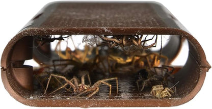RESCUE! Spider Traps – Catches Brown Recluse, Hobo Spiders, Black Widows & Wolf Spiders - 3 Pack (9