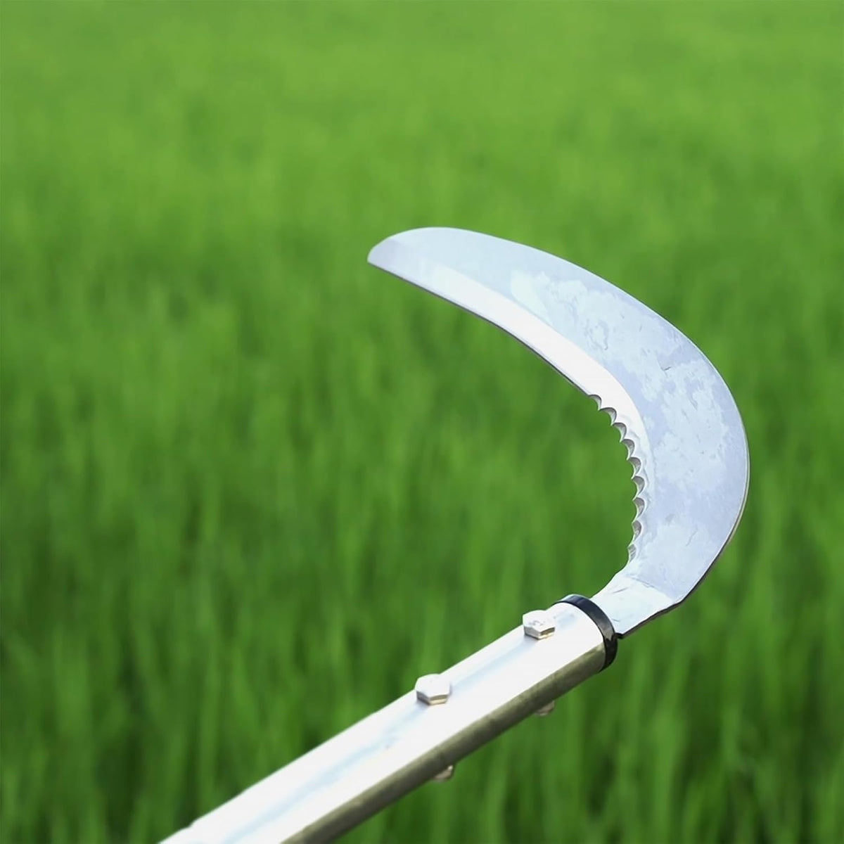Weeding Sickle, Steel Grass Sickle with Serrated Double-Edged Blade, Telescoping Grass Whip, Stand