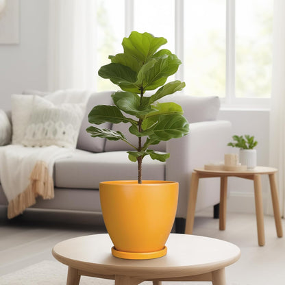 Ceramic Plant Pot - 8 Inch Planter for Indoor Outdoor Plants, Round Flower Pots with Drainage and