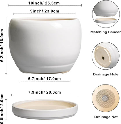 SQOWL Ceramic Pot for Plants - 10 Inch Planter with Drainage Hole and Saucer, Round Ceramic Flower