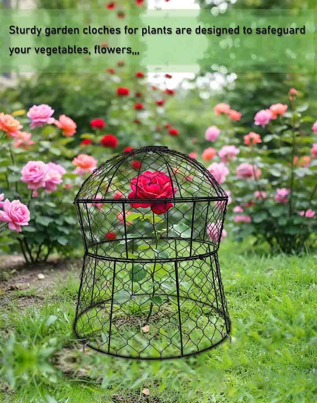 Garden Cloches for Plants 2 Pack Metal Plant Protectors from Animals Chicken Wire Cloche Updated