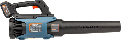 SENIX X2 20 Volt Max* 2-Piece Cordless Power Tool Combo Kit with Battery Powered 10-Inch String