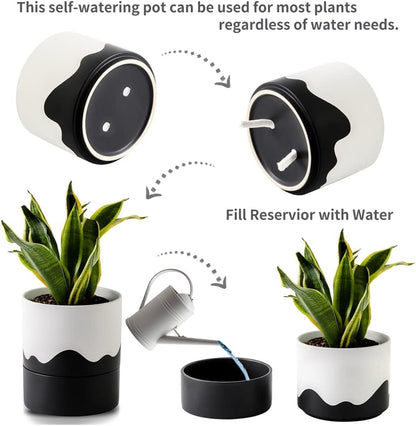 Nihow Self Watering Plant Pot: 6 Inch Ceramic Planter with Drainage Hole & Water Storage Plus for