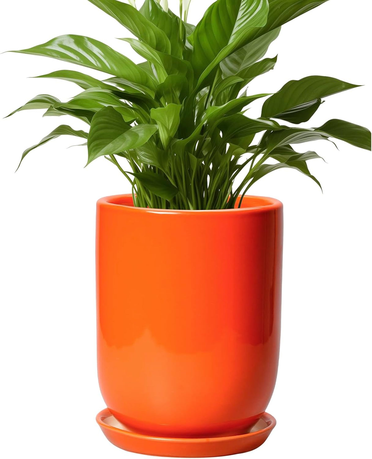 Ceramic Planter - 8 Inch Plant Pot with Drainage Hole and Saucer, Cylinder Round Modern Flower Pot