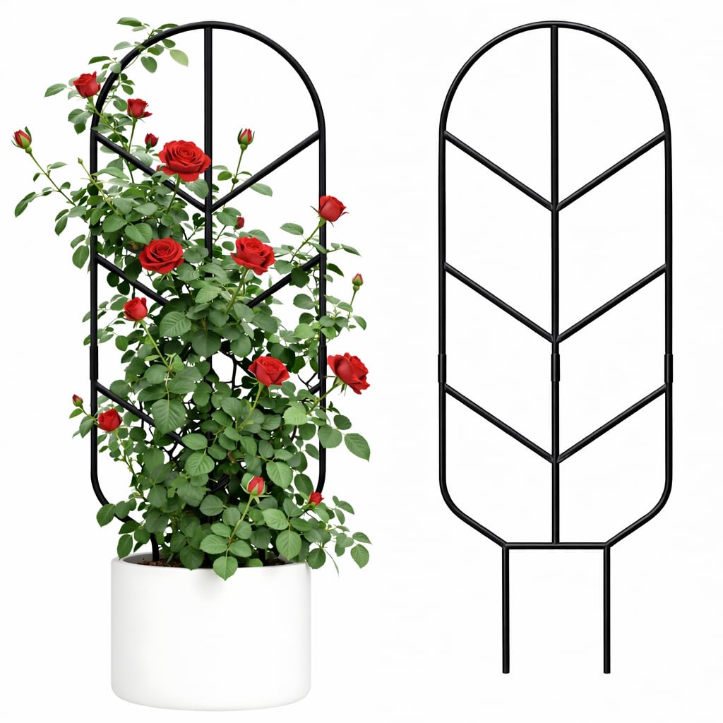 2 Pack 30'' Large Metal Plant Trellis for Climbing Plants, Tall Plant Support for Indoor & Outdoor