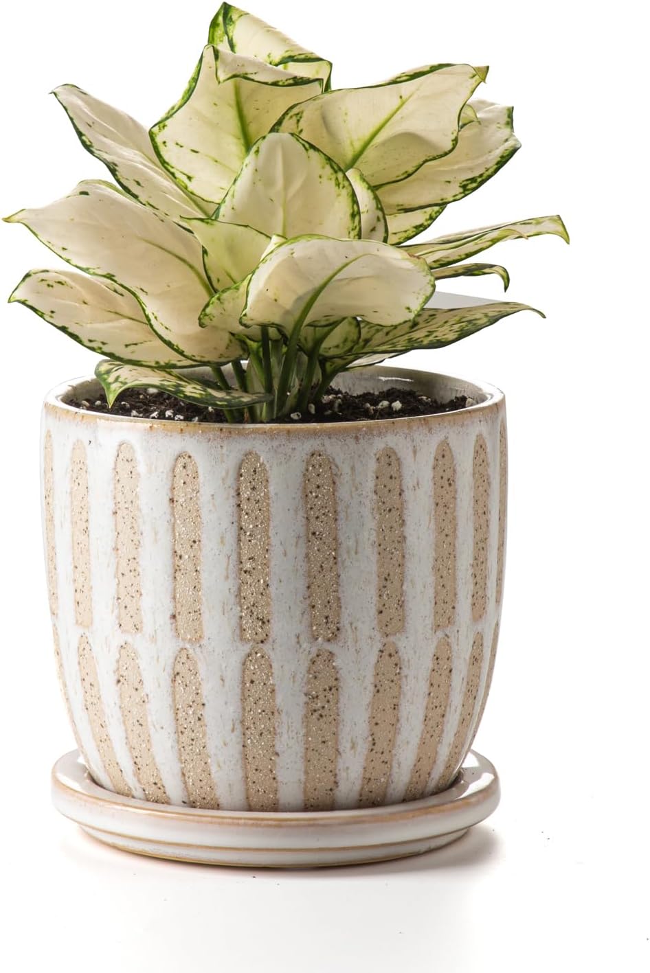 Ceramic Flower Pots Indoor-Outdoor: 5.75 Inch Planters with Drainage Holes & Saucer - Modern
