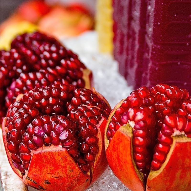 Live Pomegranate 'Wonderful' Plants (Punica Granatum 'Wonderful') - Fruit-Bearing