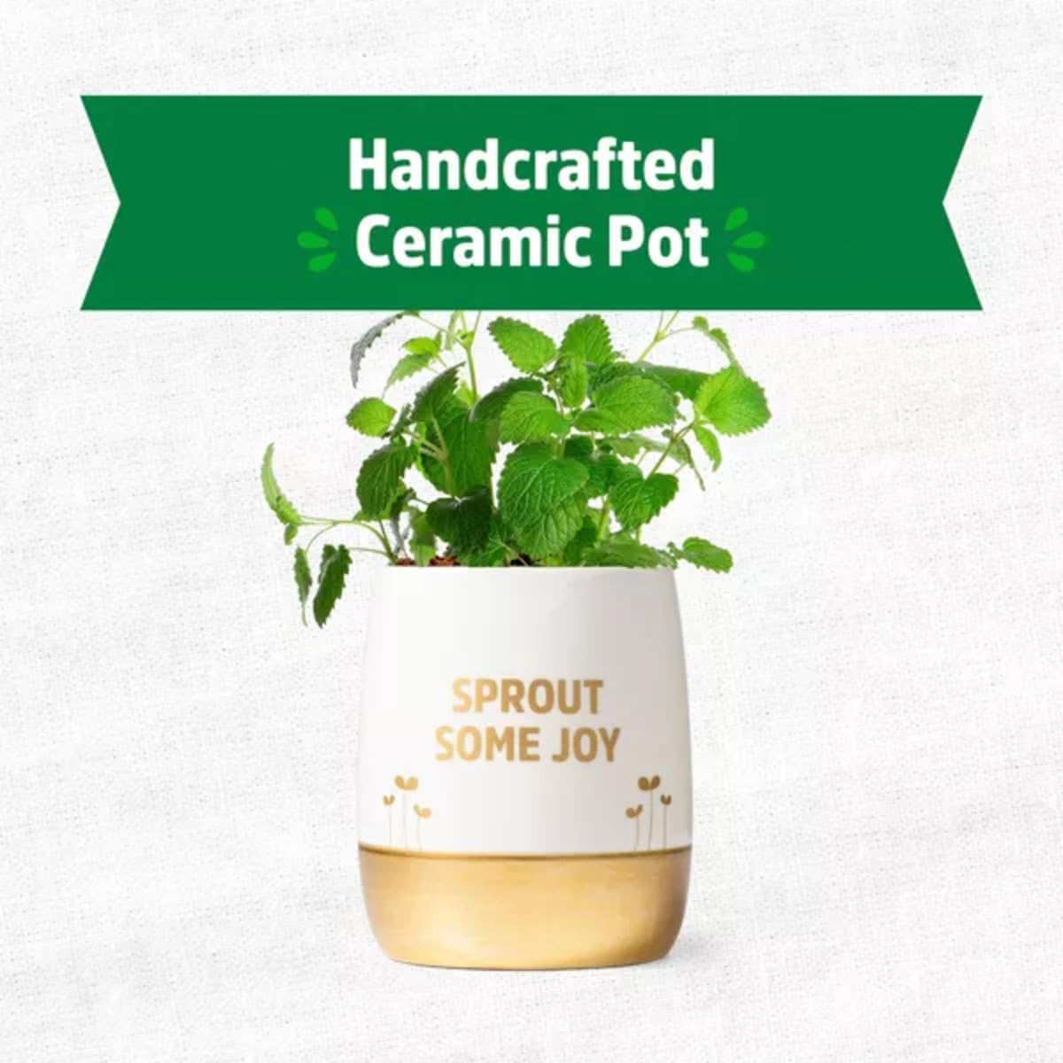 Wellness Grow Kit: Lemon Balm
