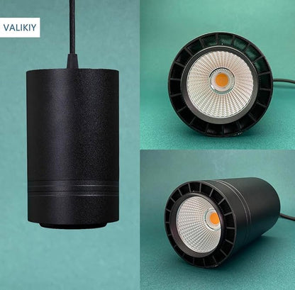 Hanging Grow Light 40W Large, Full Spectrum Warm White Color, with Timer, Plug-in Pendant Grow