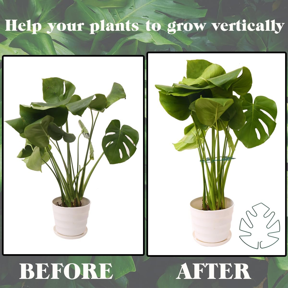 Spiritlele 5 Pcs Green Plant Stem Support Holder Set Monstera Plant Support Clamp Growth