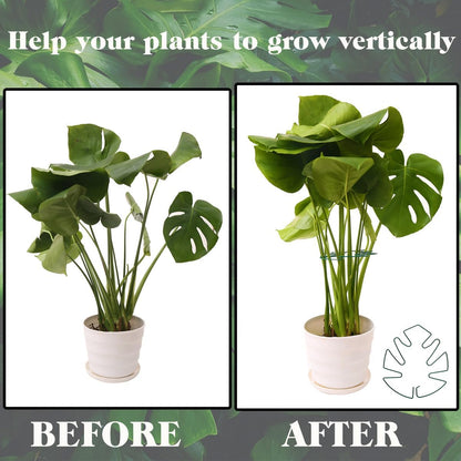 Spiritlele 5 Pcs Green Plant Stem Support Holder Set Monstera Plant Support Clamp Growth