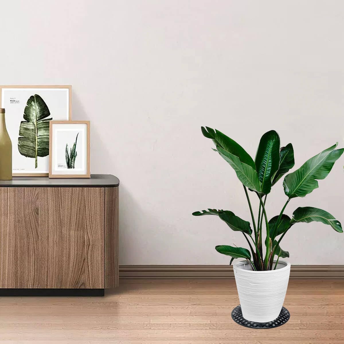 Plant Risers for Pots Indoor, Plant Stands, Pack Plant Elevator for Prevent Rot and Damage on Patio