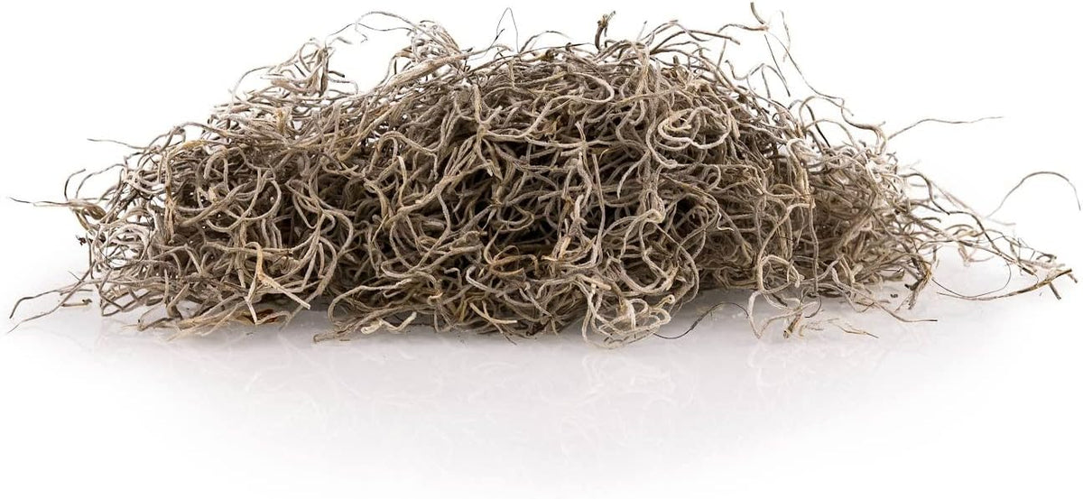Premium Natural Spanish Moss | Natural Preserved - Great Ground Cover - Filler for Potted Plants