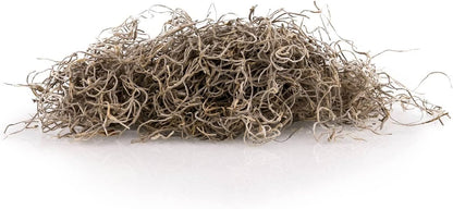 Premium Natural Spanish Moss | Natural Preserved - Great Ground Cover - Filler for Potted Plants