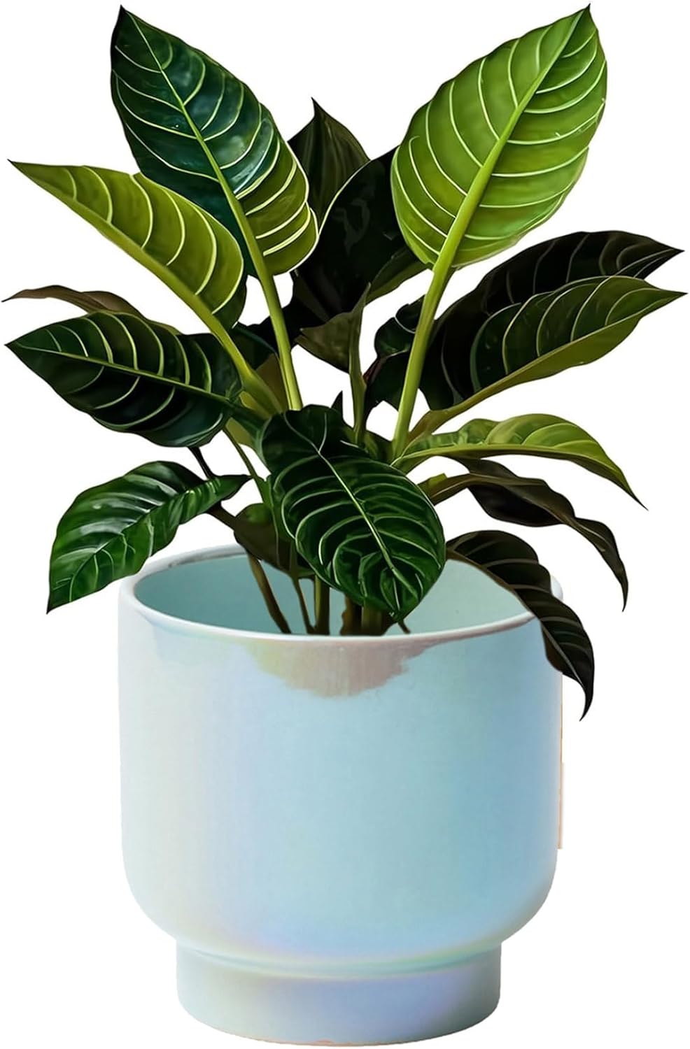 LB Blue Ceramic Planters for Indoor Plants, Succulent Plant Pots Ceramic Plant Pot, Modern Flower