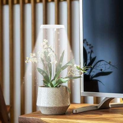 GYTF Halo Plant Grow Light, 6000K White LED Full Spectrum Growing Lamp for Indoor Plants