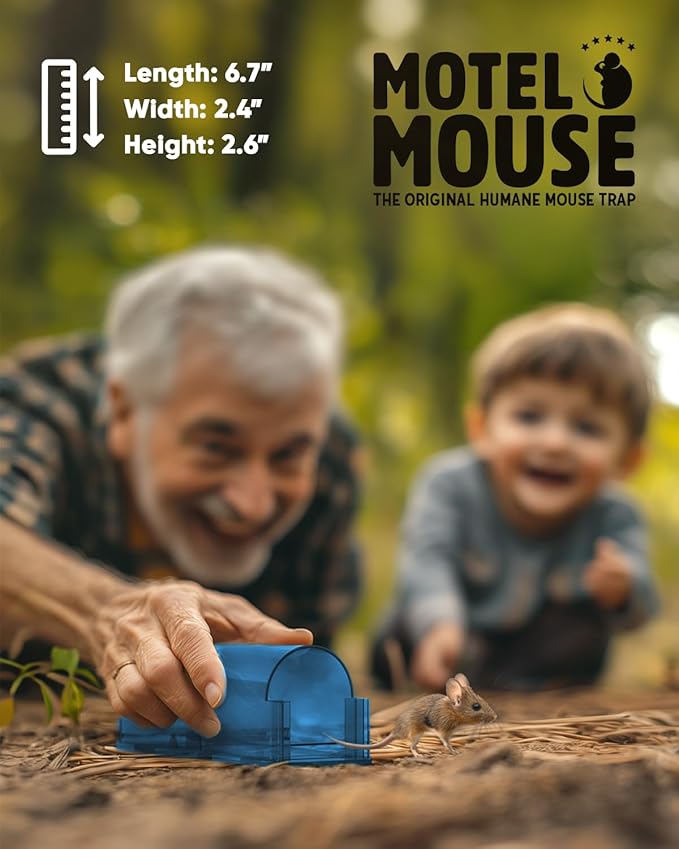 Motel Mouse Humane No Kill Live Catch and Release Mouse Traps, Reusable with Cleaning Brush - 4 Pack