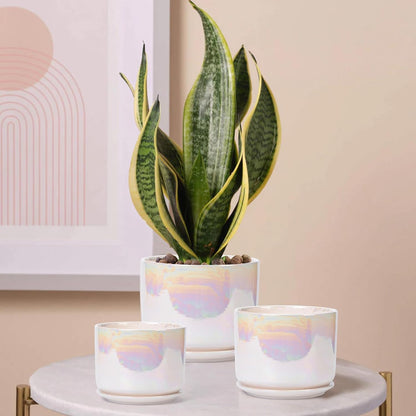 EFISPSS Plant Pots, 4+5+6 Inch Pots for Indoor Plants,Ceramic Planter Pot with Drainage Hole,Flower