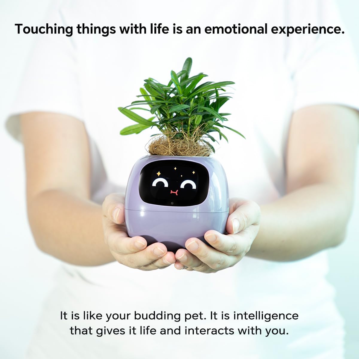 Smart Pet Planter, Smart Plant Pot, With Artificial Intelligence, Time Weather Display, And
