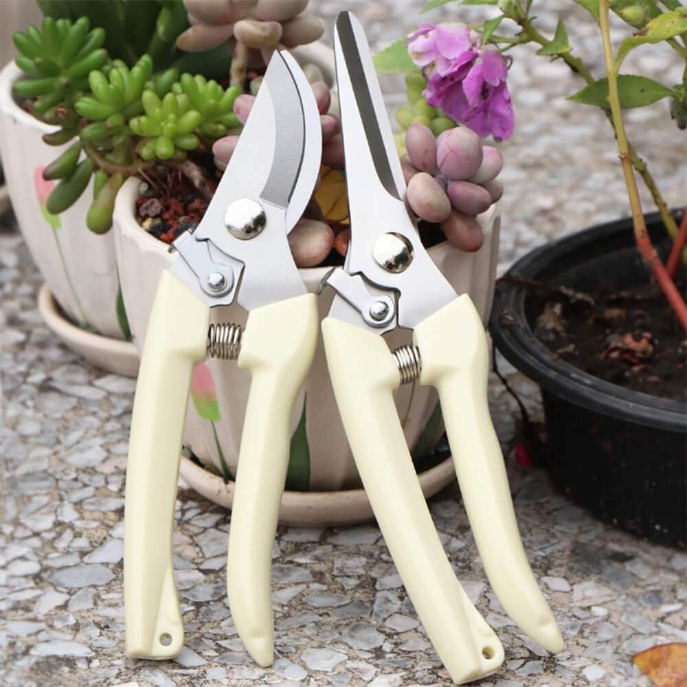 BUGUI Garden Shears Set of 2, Includes 1 Bypass Pruning Shears and 1 Straight Blade Garden