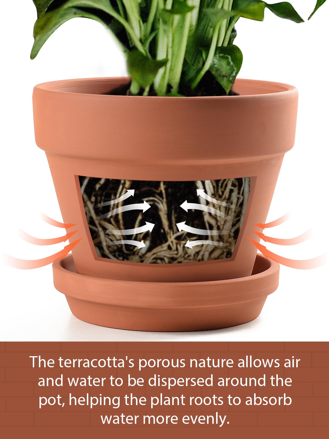 INGOFIN Terracotta Pots Set with Saucer - 2-Pack Ceramic Clay Planters with Drainage Hole, Garden