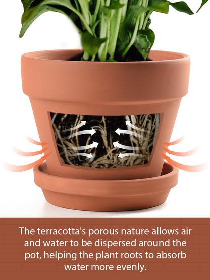 INGOFIN Terracotta Pots Set with Saucer - 2-Pack Ceramic Clay Planters with Drainage Hole, Garden