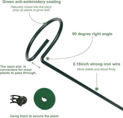 6 Packs Plant Support Sticks for Indoor Plants, Two Sizes (12 or 24 Inches) Orchid Stick and Clip
