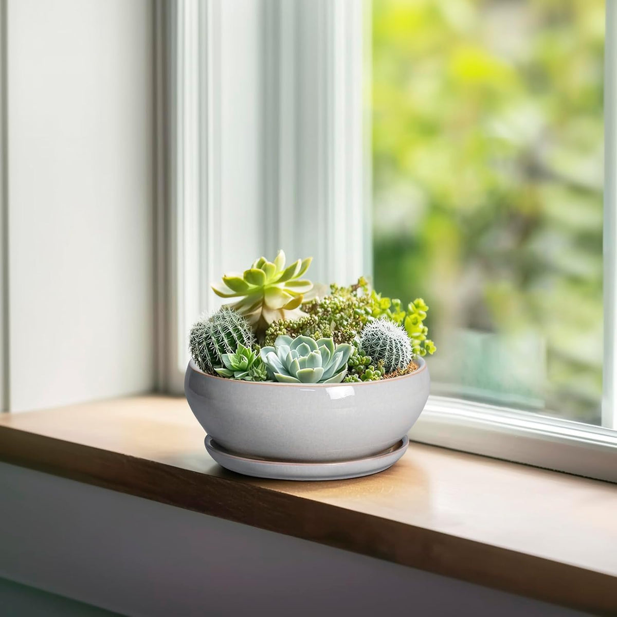 SQOWL Succulent Planters 6 Inch - Ceramic Bonsai Pots with Drainage Hole and Saucer, Shallow