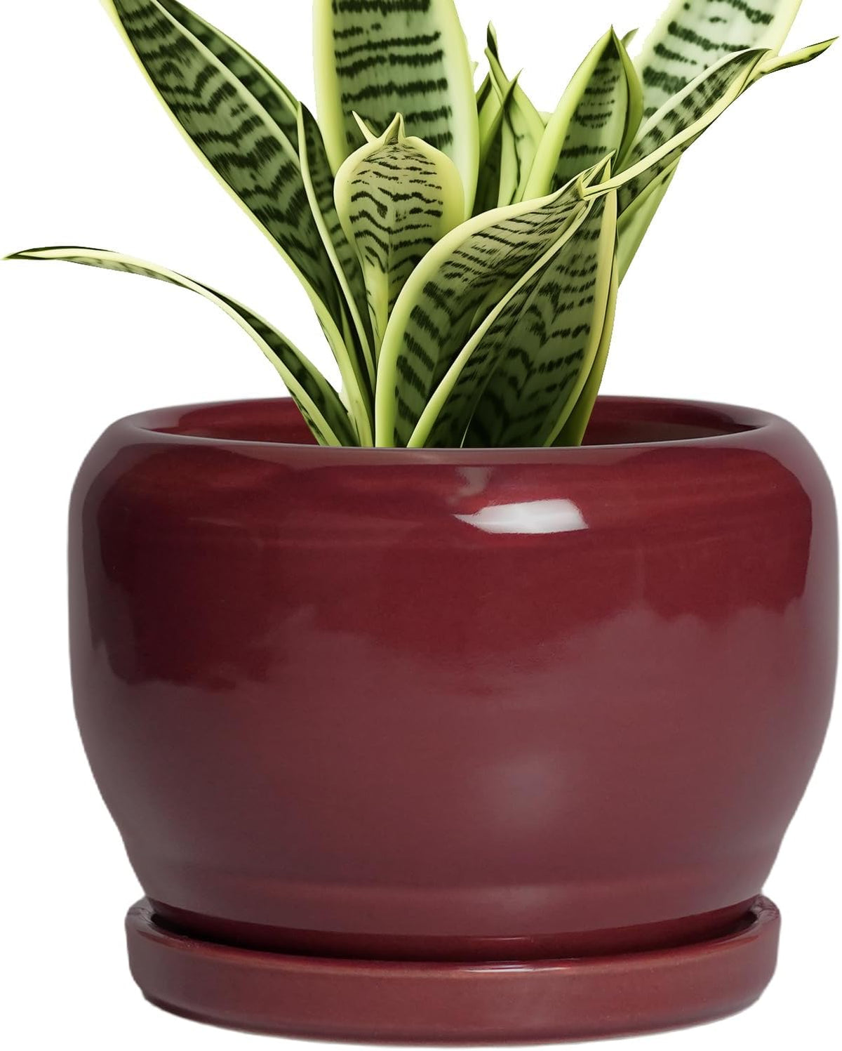 SQOWL 6 Inch Plant Pot - Ceramic Planter for Indoor Plants Outdoor, Round Planter with Drainage