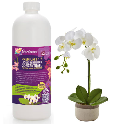 Premium Liquid PHALAENOPSIS Orchid Plant Fertilizer - 3-1-2 Concentrate for Indoor Plants and