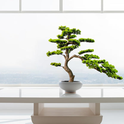3ft（43in） Artificial Bonsai Tree Juniper Faux Plants Indoor Big Fake Plants Decor with Ceramic Pots