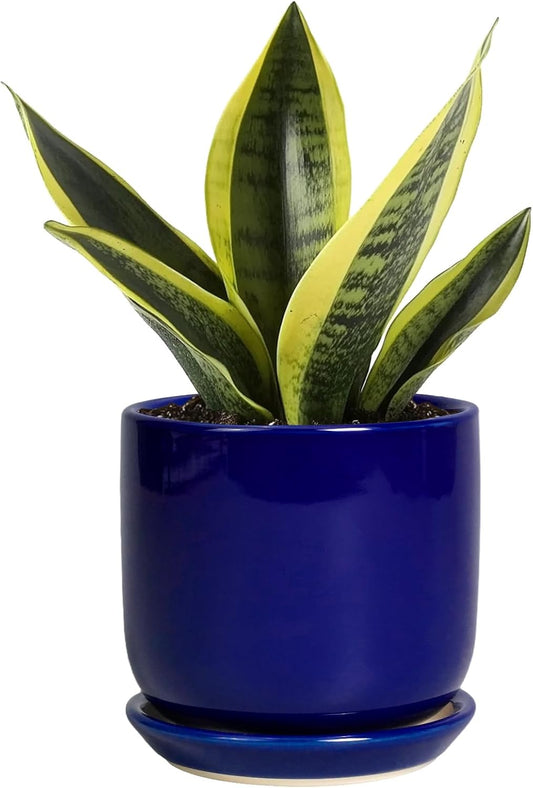 Succulent Pot 5 Inch - Modern Ceramic Planter for Indoor Plants with Drainage Hole and Saucer