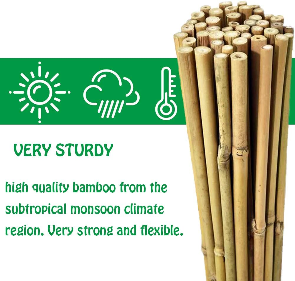 Mininfa Natural Bamboo Stakes 6 Feet, Eco-Friendly Garden Stakes, Plant Stakes Supports Climbing