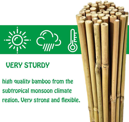 Mininfa Natural Bamboo Stakes 6 Feet, Eco-Friendly Garden Stakes, Plant Stakes Supports Climbing