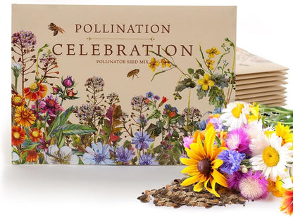 Bentley Pollination Celebration Wildflower Seed Packets, Non-GMO, Uncoated Flower Mix for Planting