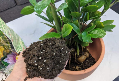 Gardenera Premium ZZ Plant Organic Potting Blend - Sustainable Growth & Revitalized Soil Ecosystem