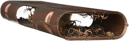 RESCUE! Spider Traps – Catches Brown Recluse, Hobo Spiders, Black Widows & Wolf Spiders - 3 Pack (9