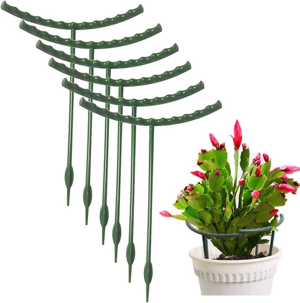 10 Pack Plant Support Plant Stakes Metal Half Round Search Support Ring Small Plastic Cage Holder