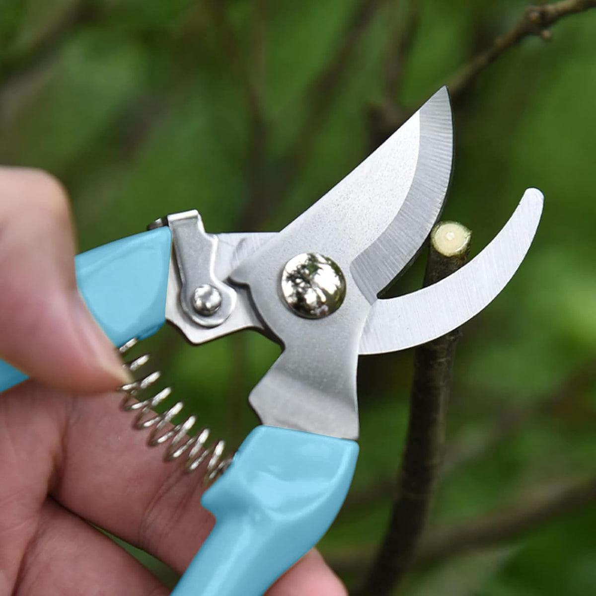 Garden Scissors for Plant, Tip Pruning Shears for Cutting Flowers, Trimming Plants, Bonsai and