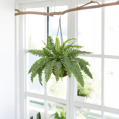 Fake Hanging Plants Large Boston Fern Artificial Plants Outdoor Realistic Fake Ferns with Palm