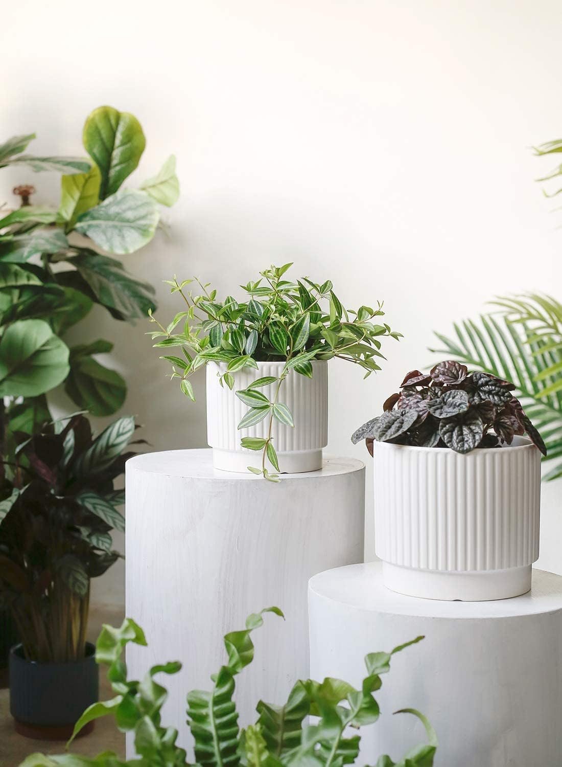LE TAUCI Ceramic Pots for Plants, 8+6.7+5.5 Inch Plant Pots Indoor, Flower Pot with Drainage Holes