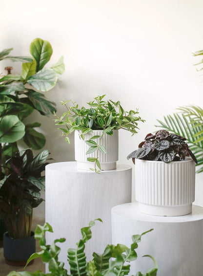 LE TAUCI Ceramic Pots for Plants, 8+6.7+5.5 Inch Plant Pots Indoor, Flower Pot with Drainage Holes