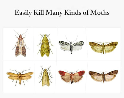 Faicuk Pantry Moth Traps with Pheromone Attractant for Home, Kitchen, and Storeroom Odorless