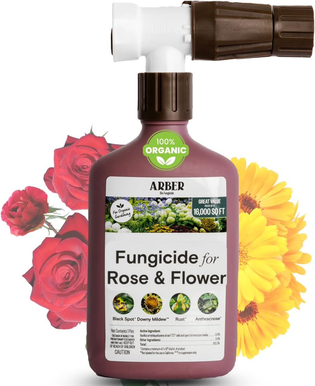 Organic Fungicide for Rose & Flower | 16oz Ready-to-Spray | Controls Powdery Mildew, Black Spot