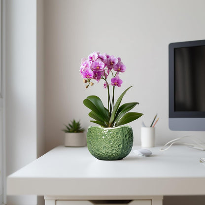 6 Inch Plant Pot - Orchid Pot with Drainage Hole, Ceramic Planter for Indoor Outdoor, Decorative