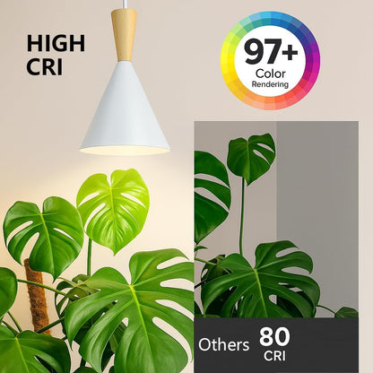 Hanging Grow Lights for Indoor Plants, Full Spectrum, with Timer and 15FT Power Cord, 20W Pendant