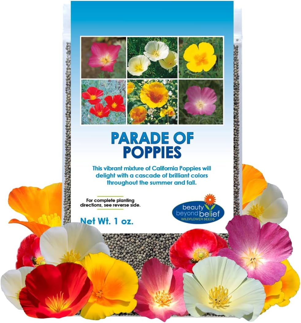 Parade of Poppy Wildflower Seeds - 1oz, Open-Pollinated Flower Seed Mix Packets, No Fillers